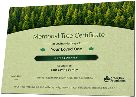 Plant Trees in Memory of Rolf Leon Jones Jr.